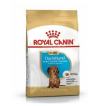 로얄캐닌 닥스훈트 퍼피 (주니어 ) 1.5kg, 22