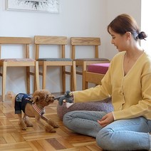 강아지 봉제인형 삑삑이 친환경 바니린향 장난감 애견장난감, 1개, 랜덤발송