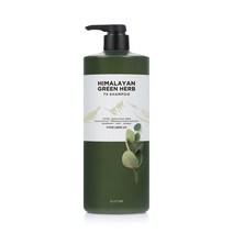 히말라야 그린허브 샴푸 1980ml