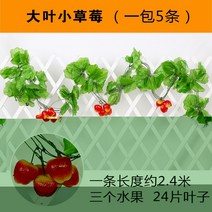 복도 장식 그린 등나무 페이크 덩쿨 라탄 심플 비닐 플라워 컬러 펀텐트 전시장 녹색 식물 트로피칼 2622582227, M66 대엽 작은 귤 1가방