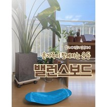 홈트 균형잡기 어린이 성인 코어운동 밸런스보드, 블루