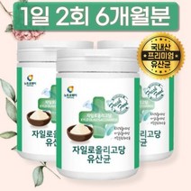 국내산 유산균 프락토올리고당 살아있는 프리바이오틱스 락토바실러스 파우더 가루 분말, 상세페이지 참조, 상세페이지 참조