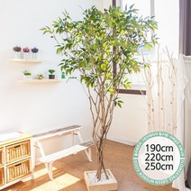 실내인테리어 인조나무 123종 / 플트 조화나무 C, C09.라인-올리브나무 190cmK/코너형