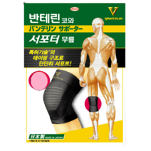 (리뉴얼) 그린팜 반테린 서포터 무릎 보호대