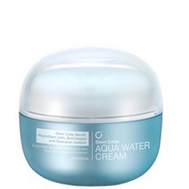 데이크림 스템코드 아쿠아 워터 크림 60ml 20234840EA, 쿠팡 1, 쿠팡 본상품선택