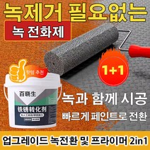 1+1 녹 전환제 녹 제거제 및 방청 페인트 2 in 1 금속 광택제 녹제거제녹방지제 메탈녹제거제프라이머 방청윤활제, 500g/개*10