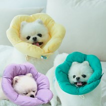 이드몽 강아지 넥카라 고양이 애견 깔대기 쿠션 시즌2프라가S, 시즌2)프라가, 피치핑크2XL