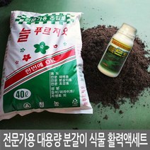 전문가용 대용량 분갈이 식물 활력액 세트