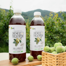 마음쏙 지리산 하동 황매실액 3년 저온숙성 발효 엑기스 매실원액, 2병, 1000ml