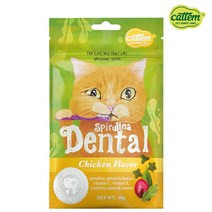 캣템 스피루리나 덴탈 고양이 이빨과자 스낵, 1개, 60g, 치킨