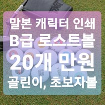 메이저브랜드 로스트볼 B급 로스트볼 20알 1세트 말본 캐릭터 프린팅 골린이 초보자 골프공, 젝시오