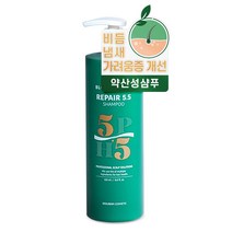 [모발영양특허제품] 리페어5.5 비듬 모발 샴푸, 1개