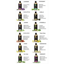 100ML 천연 유칼립투스 에센셜 오일 디퓨저 아로마 에센셜 오일 민트 바닐라 라벤더 샌들우드 베르가못 티 트리 아로마, 100ml_1, Jasmine_6, Diffuser Aroma Oil_1