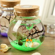 강군샵 테라리움 화분 LED볼단지 350ml/마리모 어항 키우기, 선택완료