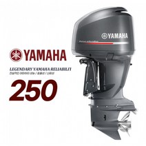 YAMAHA 야마하 신형 250마력 4행정 전동 핸들 파워, 단품
