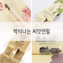 CMJ GBW28F173 흥미유발 싹이나는 씨앗연필 식물인테리어 화분 거실 인테리어 미니 키우기쉬운식물 거실인테리어 실, 도매24 해바라기