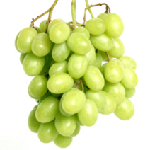 샤인머스켓 청포도 거봉 1kg, 1박스, 샤인머스켓 망고포도 1kg