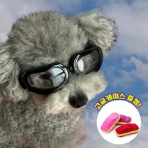 [고글+케이스] 소형견 강아지 드라이브 투명 고글 UV차단 눈보호 선글라스 안경