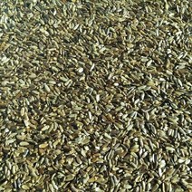 곤드레씨앗 30g/곤드레나물씨앗/고려엉겅퀴씨앗/국내 채종 종자