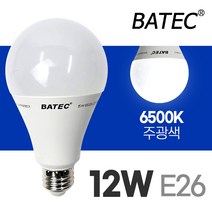 바텍 컨버터 LED 볼전구 12W E26 (내장형 LED전구 램프 볼전구 조명), 주광색, 건식 12W 220V 60Hz E26 주광색 컨버터내장형 LED램프, 1