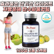 가르시니아 다이어트 얼굴살 뱃살 종아리살 술배 빼는 법 방법 단기 한달 2주 체지방 복부지방 분해 체중 감소 식약청 인정 남성 여성 남자 여자 예신 승무원 다이어트보조제