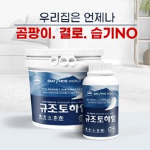 규조토월드 규조토하임 페인트타입 10Kg (화이트) 결로방지페인트 베란다 벽지 친환경 단열 곰팡이방지페인트