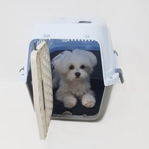 강아지 이동장 고양이 컨넬 소형(배변판 포함), 강아지켄넬/그레이