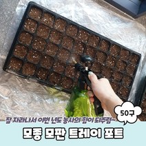 모종 모판 트레이 포트 50구