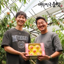 납작복숭아 영동 복숭아 딱딱이 백도 말랑이 황도 대극천 초극천 700g 1kg, 쫀득한 대극천 반납작복숭아, 하우스 대극천 1.4kg (700g+700g)