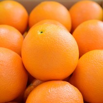 퓨어스펙 블랙라벨 고당도 오렌지, 중대과(72), 24개입 (약6kg)
