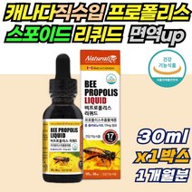 입안 항균 리퀴드 비 프로폴리스 스포이드 액상 1개월분 원액 하루 1번 5방울씩 원료 구강항균 면역력 높이는 보조제 영양제 포리폴리스 플라보노이드 활성산소 제거 아연 항산화