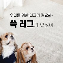 방수러그 국산 러그 먼지없는 생활방수 고양이 사계절 추천 물세탁 오염방지 논슬립 긁힘방지 애견 100x150cm