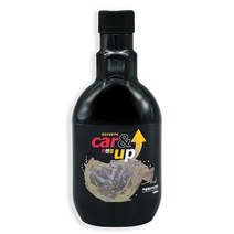 카앤업 엔진오일첨가제 300ml (가솔린/경유/LPG/전차종) 슬러지제거/연비향상/소음진동감소/엔진코팅, 1개, 가솔린/휘발유