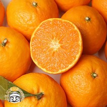 현가원 서귀포 귤로향 10kg (실속포장 90-110과 실중량), 단품