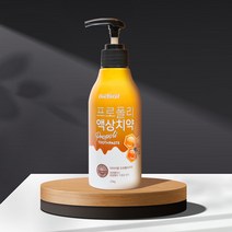 [닥터이엘] 프로폴리 액상 펌핑 치약 220g, 1개