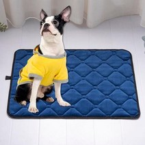 왕실 동물 개 매트 냉각 여름 패드 매트 개 고양이 담요 소파 통기성 애완견 침대 빨 수 있음 개 침대, blue thick+L 70x100