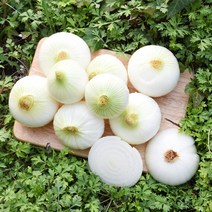 팔도농장 달큰한 무안 햇 양파 소 3kg 5kg 10kg, 상세설명 참조