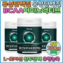 류신단백질 WPH 유청단백질 유청농축단백 보충제 헬스단백질보충제 60대 50대 노인 근육 isolate MBP 살찌는보충제 다이어트프로틴 BCAA 완두단백분말 WPC 구 추천, 1pack, (280g * 3박스)