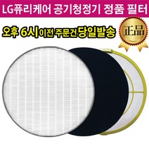 LG 퓨리케어 공기청정기 정품 필터 LA-V069DWR, 02.스모그탈취 필터