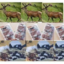 마가목진액 60팩(115m l)A 신비의나무 마가목 녹용즙, 2형구매)녹용액보감45팩