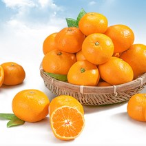 저농약 제주감귤 10kg-15kg 소과/중과/로얄과 귤, 제주 감귤 10KG (2S) 2번과 소과