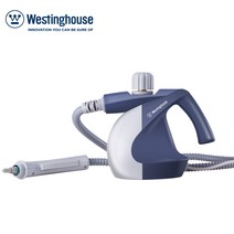 American Westinghouse 스팀 청소기 가정용 휴대용 다기능 고온 및 고압 오염 제거 오일 흄 소독 청소기, 블루 그레이