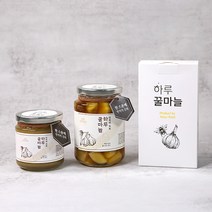 [선물용 답례품용] 먹기편한 스틱&떠먹는 병 하루 꿀마늘 2가지 맛 / 꿀마늘 마늘꿀절임, 1박스, [병 간마늘]하루꿀마늘280g과즙
