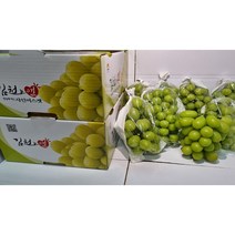 김천앤 샤인머스켓 가정용 고당도 망고포도, 1.가정용 샤인머스켓 1kg