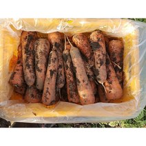 국산 흙당근 제주도 구좌 햇당근 특품, 10kg