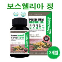 보스웰리아 정 알약 무릎 관절 연골 뼈 보스웰릭산 65% 인도산 보스웰리아원물 가루 차 보스월리아 유향 BOSWELLIA 효능 추천 파는곳, 1개, 60정