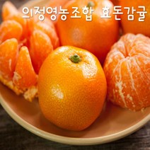 프리미엄 효돈감귤(의정영농조합) 5kg - 당도최고감귤, 5kg 큰귤(2L)