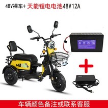 3륜 전기 오토바이 전동 전동차 2인승 삼륜 스쿠터, 03.48V 12A 리튬 배터리 충전기