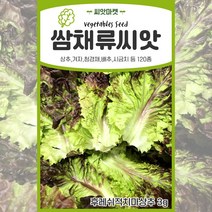 각종 쌈채소 상추씨앗 배추 치커리씨 청경채 샐러리 씨 엽채류 씨앗 종자, 72 - 휘모리배추 1000립