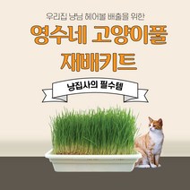 고양이 풀 캣그라스 캣닢 캣잎 재배기 세트 캣닢 보리 밀 3종 대용량 세트상품